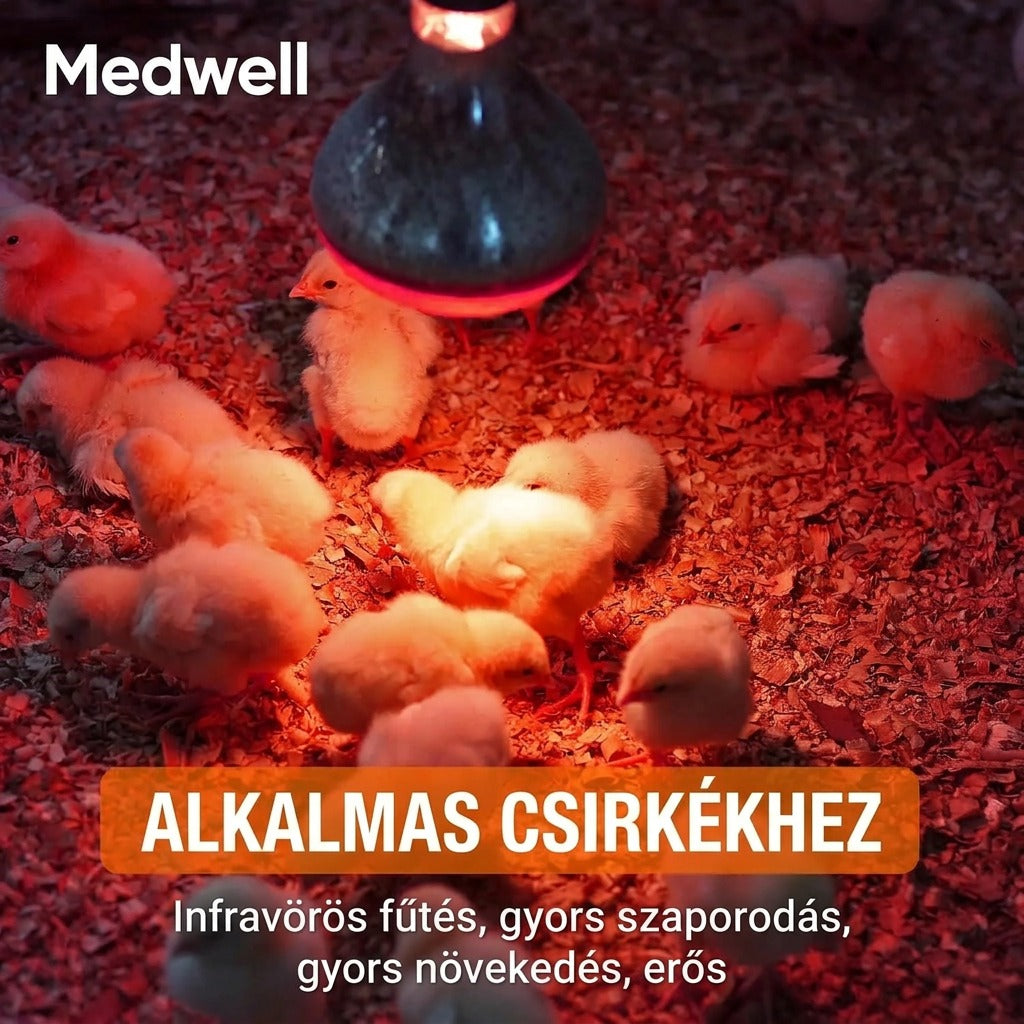 250W 110V infravörös hőlámpaizzó