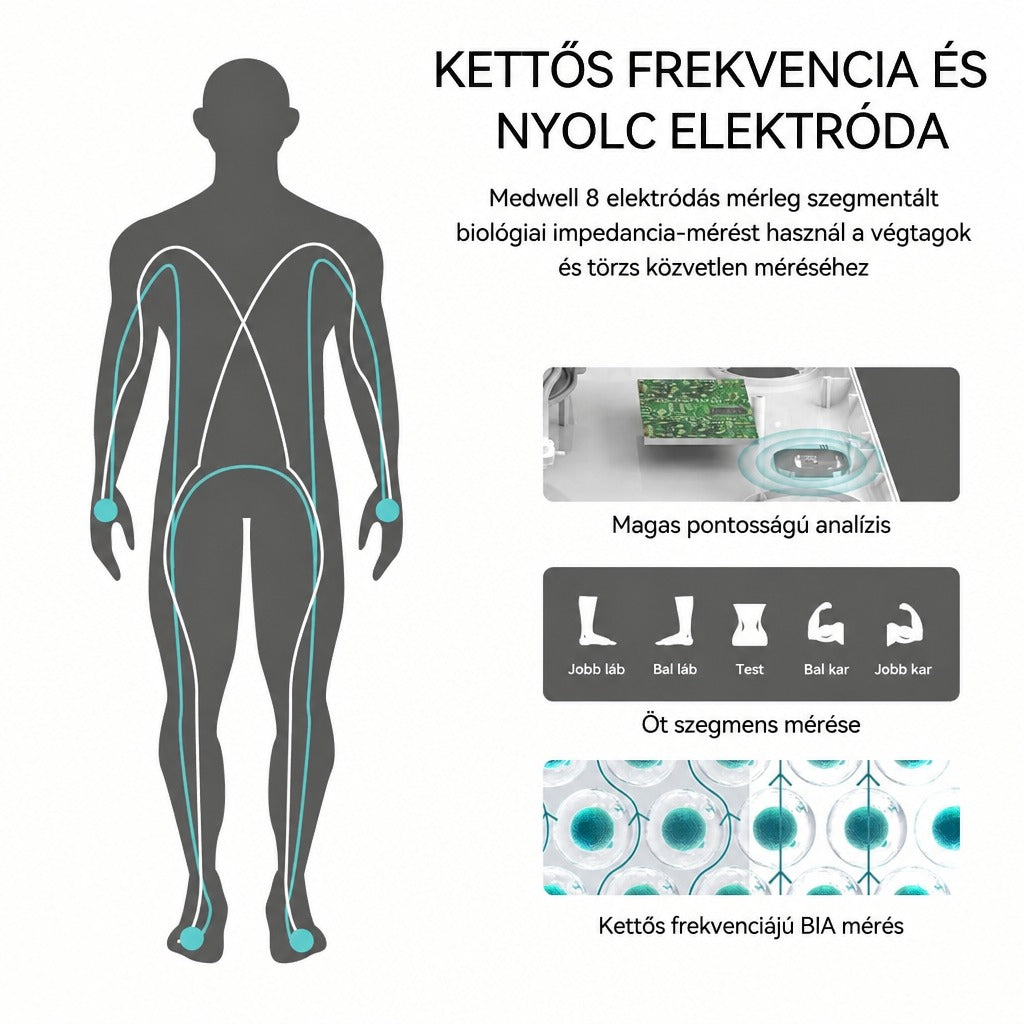 Kettős frekvenciájú, nyolcelektródás testösszetétel-mérleg működési elve és szegmentált mérése.