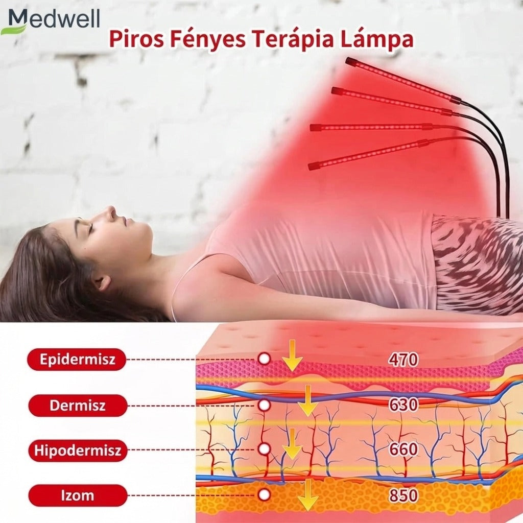 Medwell Piros Fényes Terápia Lámpa bőrrétegek