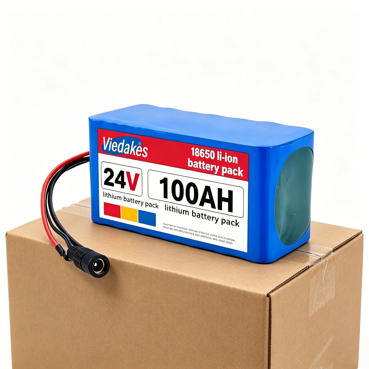 24V 100Ah Lithium Battery Pack with Charger