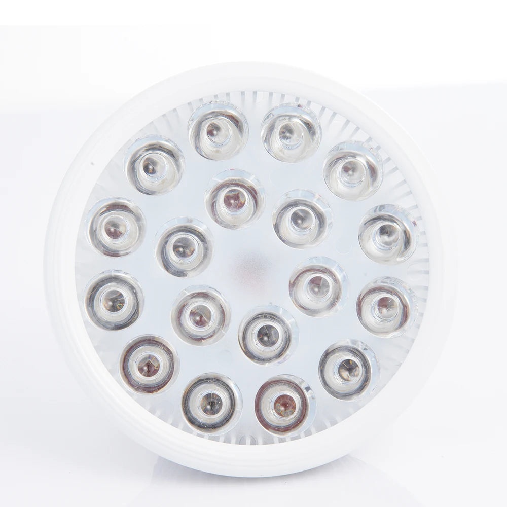 E27 Red and Infrared Bulb, 630–850nm