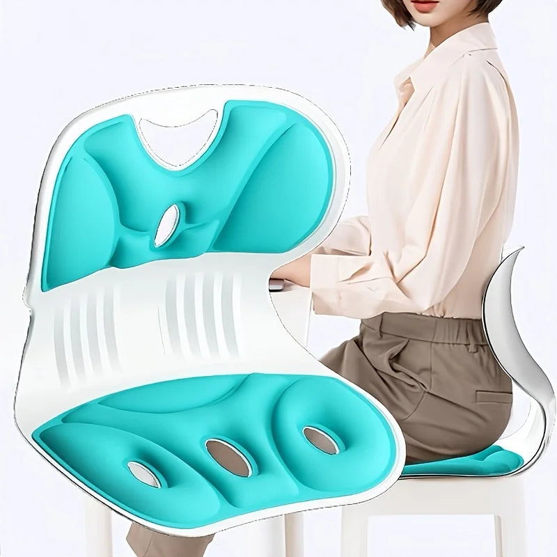 Ergonomic Backrest Cushion, Hollow Breathable Lumbar Support Pad