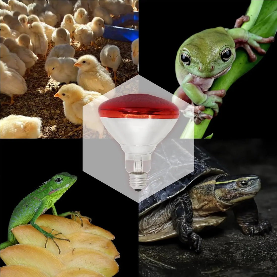 250W 110V Infrared Heat Lamp Bulb