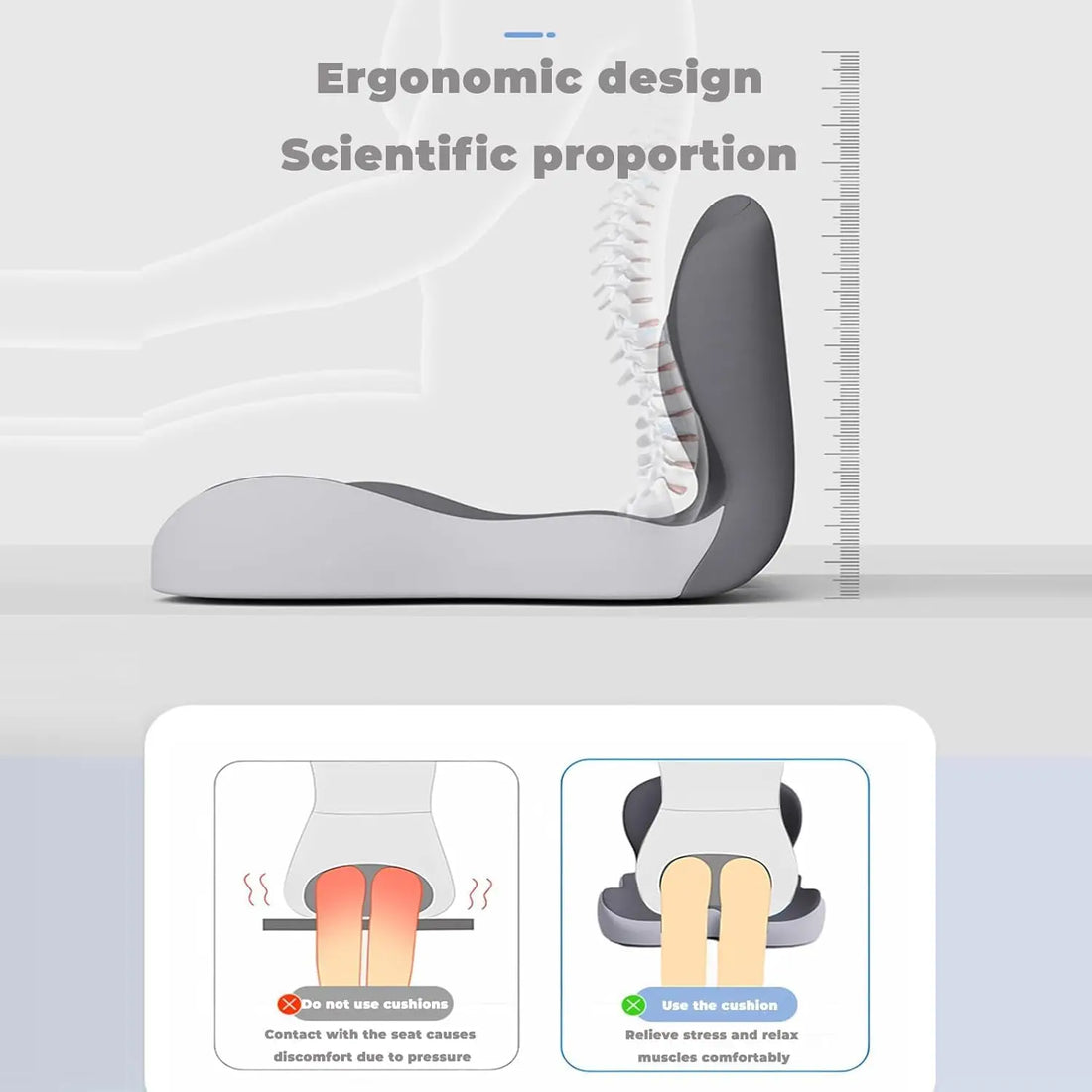 Contoured Lumbar Support Seat Cushion
