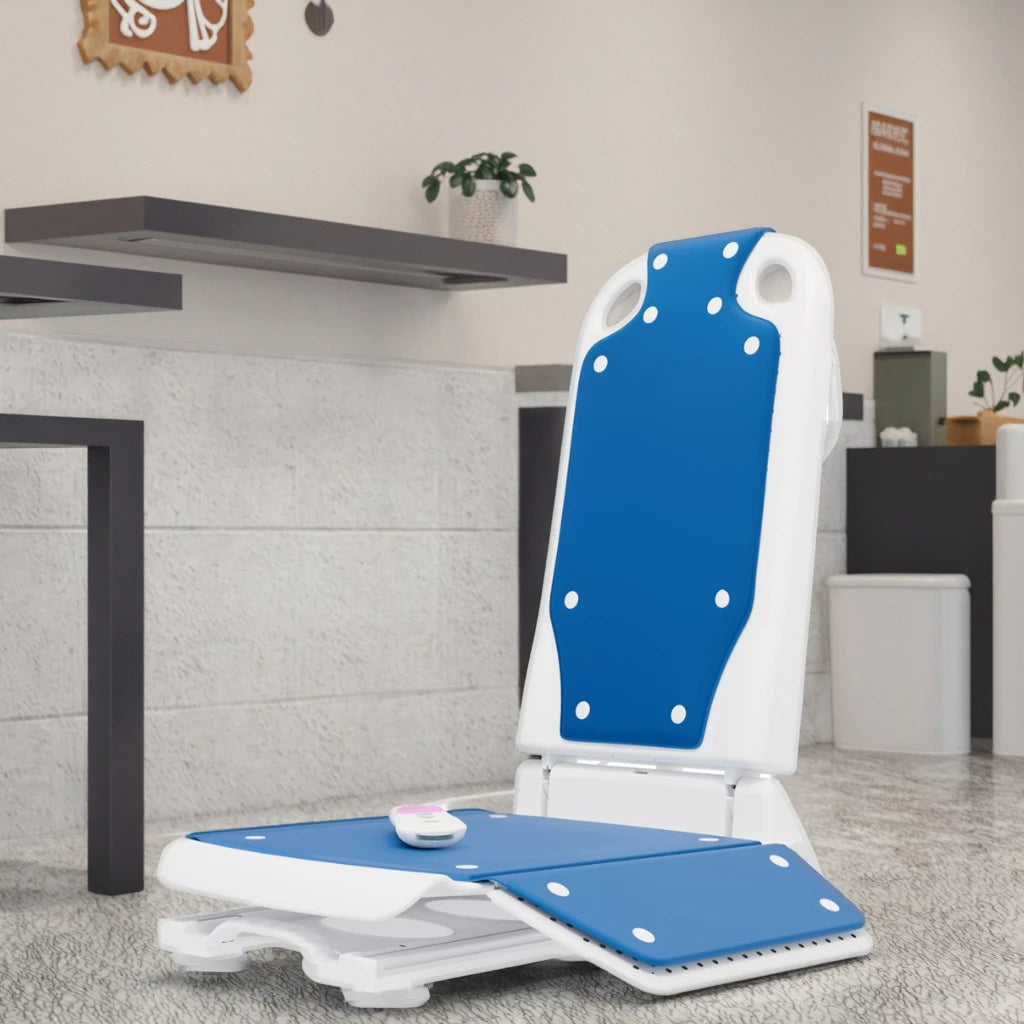 Electric Sit-to-Stand Lift Chair
