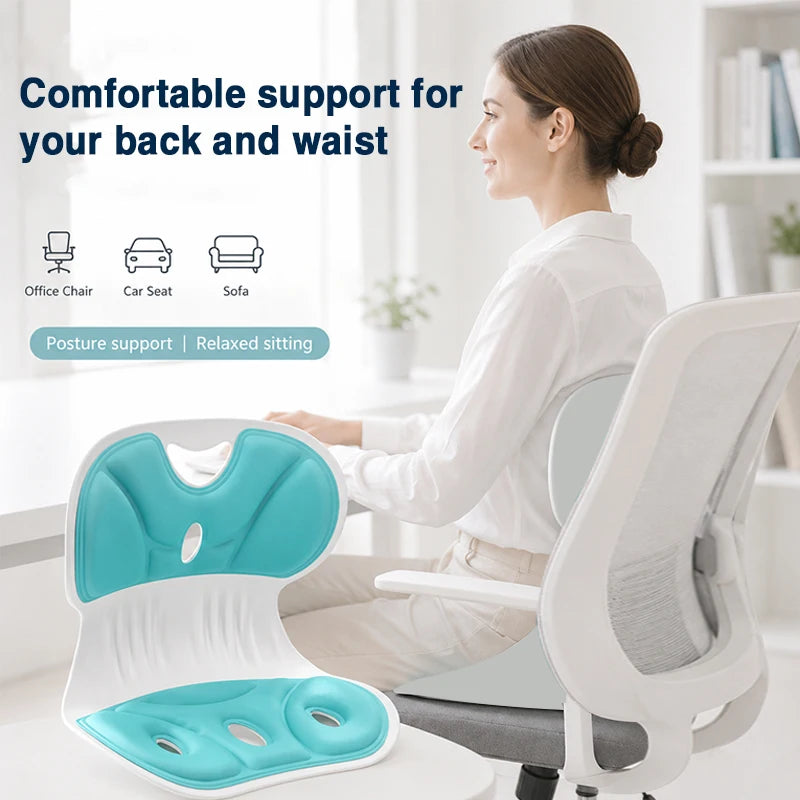 Ergonomic Backrest Cushion, Hollow Breathable Lumbar Support Pad