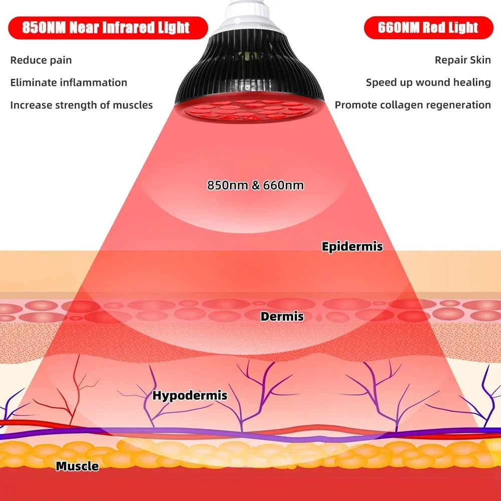 Red and Infrared Light Therapy Lamp with Stand