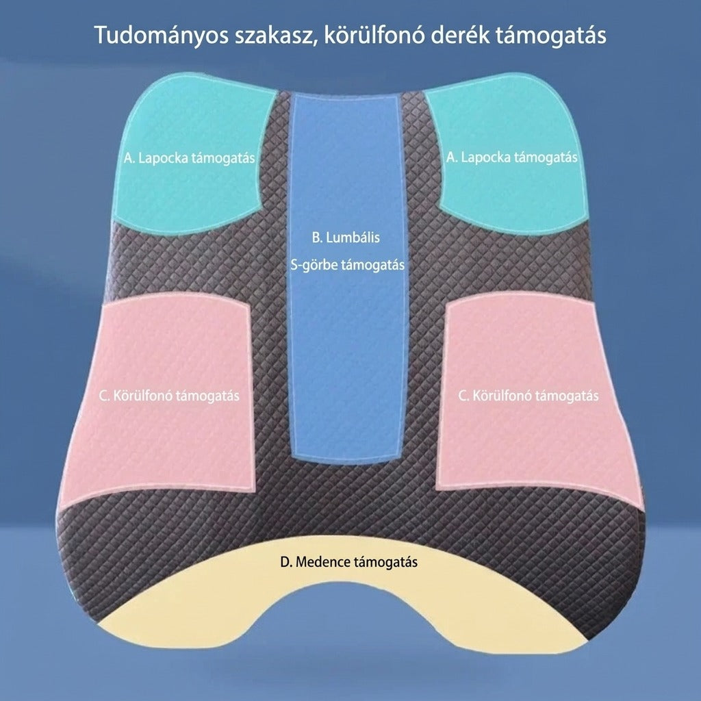 Ergonomikus deréktámasz anatómiai támasztási zónáinak bemutatása.